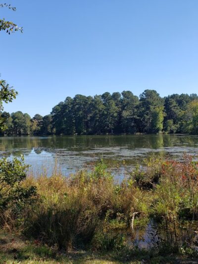 Diamond Lakes Regional Park - Hephzibah, GA