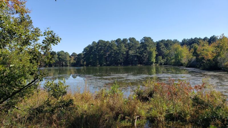 Diamond Lakes Regional Park - Hephzibah, GA