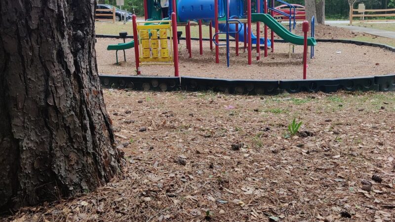 Woodlake Park - Hephzibah, GA