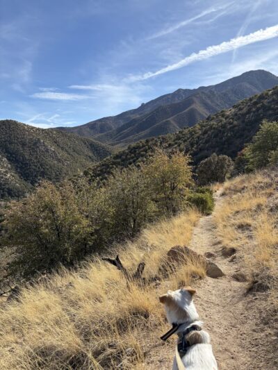 Clark Spring Trail #124 - Hereford, AZ