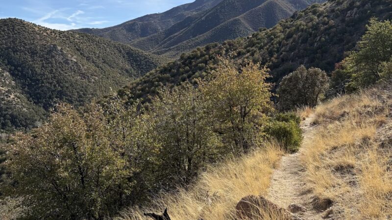 Clark Spring Trail #124 - Hereford, AZ