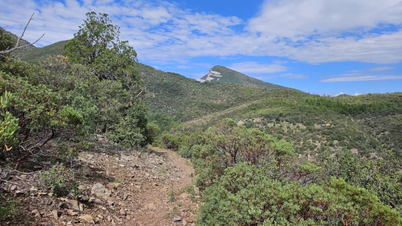 Comfort Spring Trailhead - Hereford, AZ