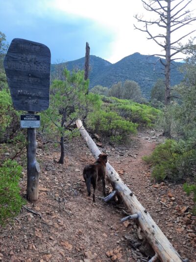 Comfort Spring Trailhead - Hereford, AZ