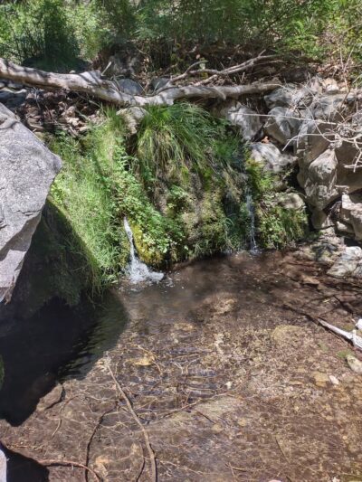 Miller Canyon FS Trail - Hereford, AZ