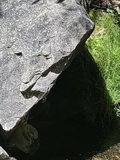 Miller Canyon FS Trail - Hereford, AZ