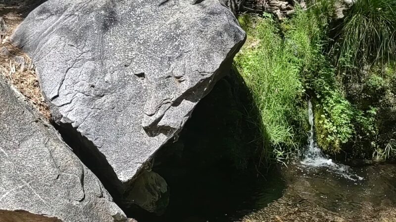 Miller Canyon FS Trail - Hereford, AZ