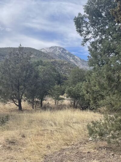 Miller Canyon FS Trail - Hereford, AZ