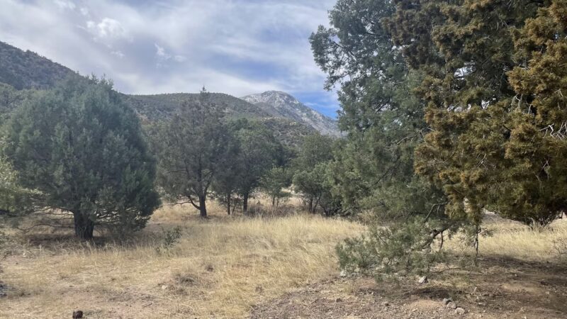 Miller Canyon FS Trail - Hereford, AZ