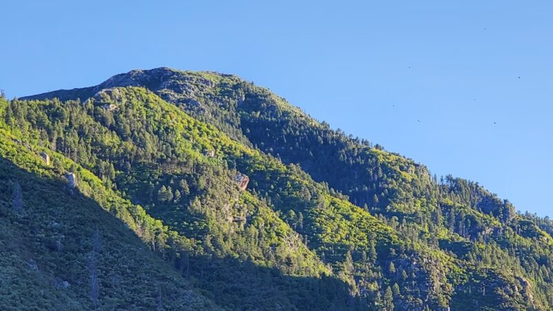 Miller Canyon Recreation Area - Hereford, AZ