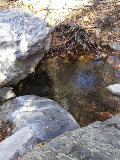 Miller Canyon Recreation Area - Hereford, AZ