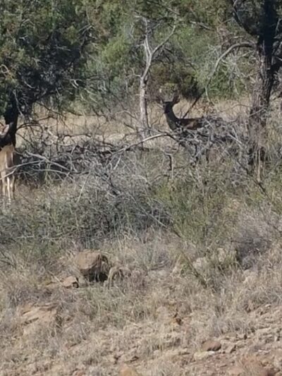 Miller Canyon Recreation Area - Hereford, AZ