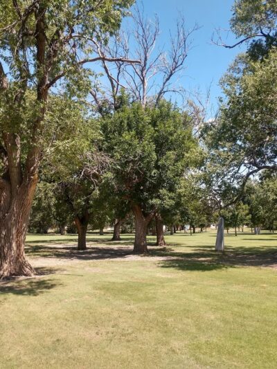 Dameron Park - Hereford, TX