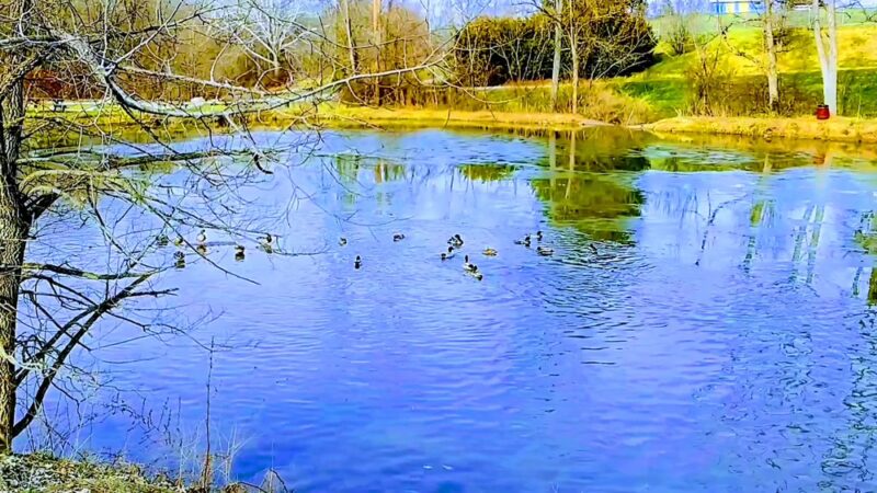 Crabapple Park & Pool - Herminie, PA