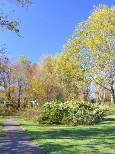 Crabapple Park & Pool - Herminie, PA