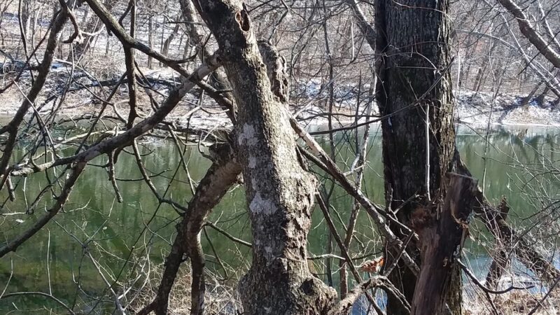 State Parks - Hermitage, MO