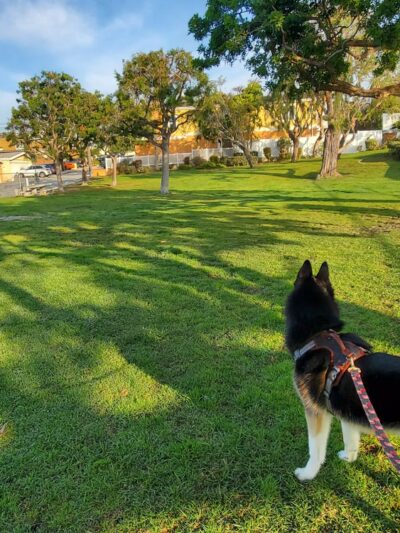 Edith Rodaway Friendship Park - Hermosa Beach, CA