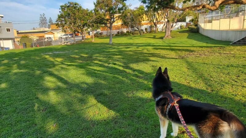 Edith Rodaway Friendship Park - Hermosa Beach, CA