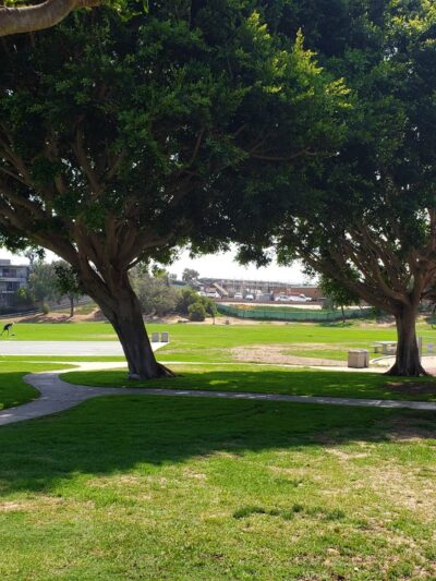 Valley Park - Hermosa Beach, CA