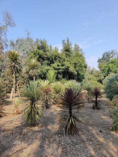 Veteran’s Park Trail - Hermosa Beach, CA