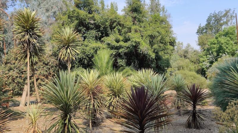 Veteran’s Park Trail - Hermosa Beach, CA