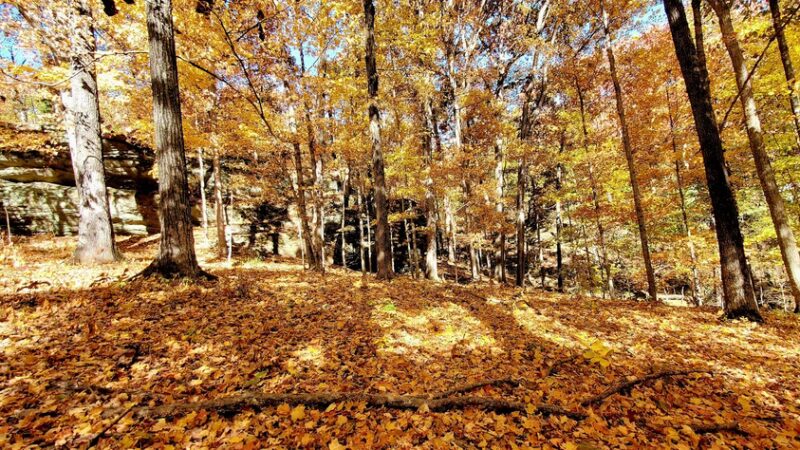 Benham Hill Trailhead - Herod, IL