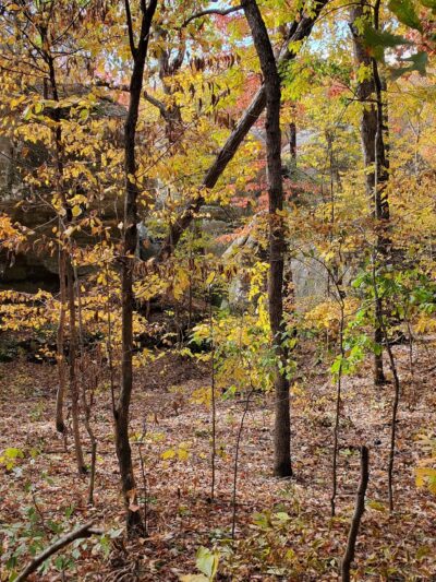 Benham Hill Trailhead - Herod, IL