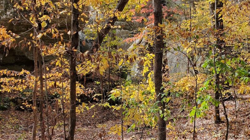 Benham Hill Trailhead - Herod, IL