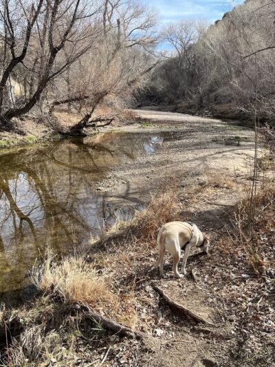Deep Creek Trailhead - Hesperia, CA