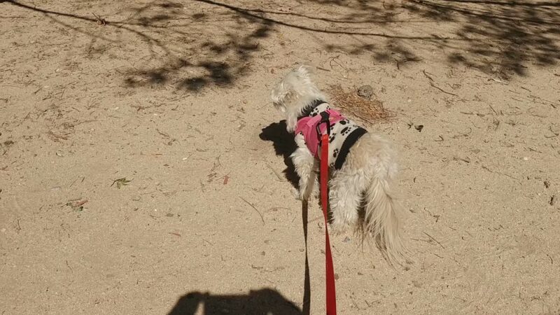 Hesperia Civic Plaza Park - Hesperia, CA