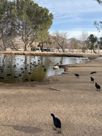 Hesperia Lake - Hesperia, CA