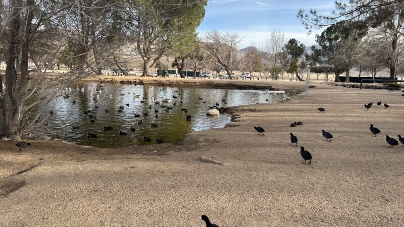 Hesperia Lake - Hesperia, CA