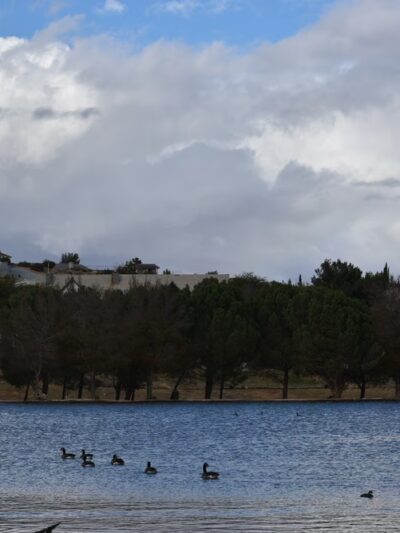 Hesperia Lake - Hesperia, CA