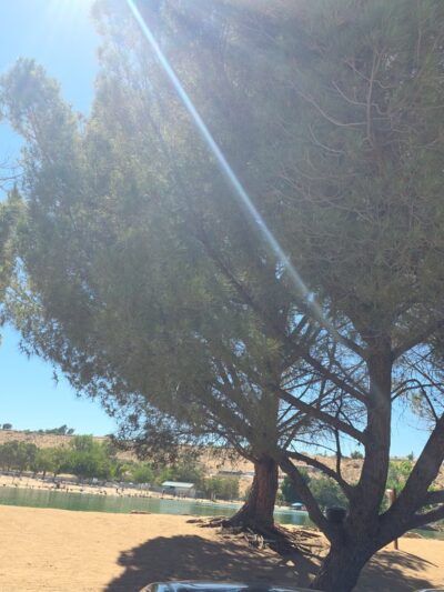 Hesperia lake - Hesperia, CA