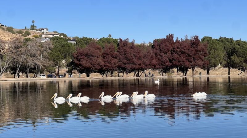 Hesperia Lake Park - Hesperia, CA