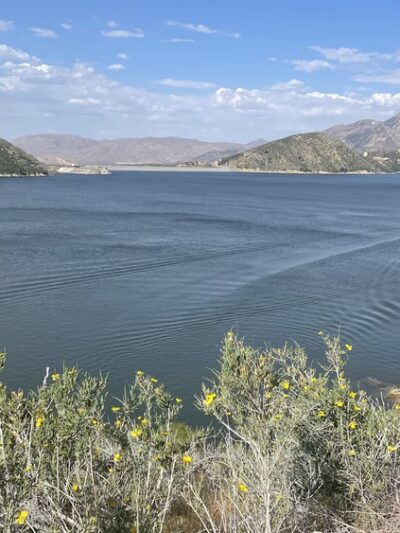 Live Oak Boat In Area - Hesperia, CA
