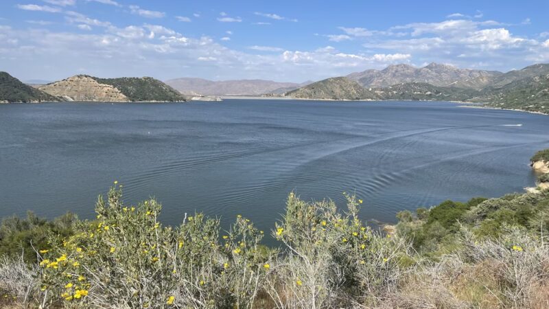 Live Oak Boat In Area - Hesperia, CA