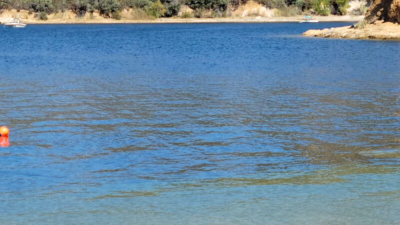 Live Oak Boat In Area - Hesperia, CA