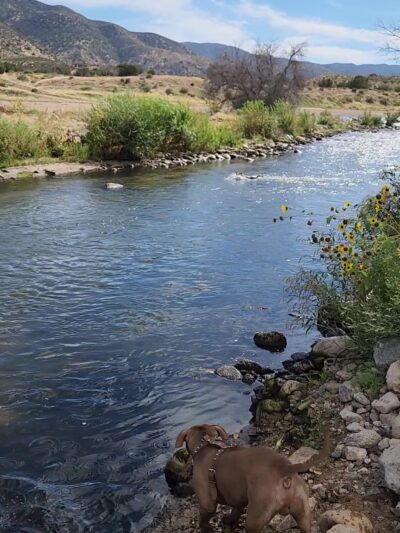 WEST FORK MOJAVE RIVER - Hesperia, CA