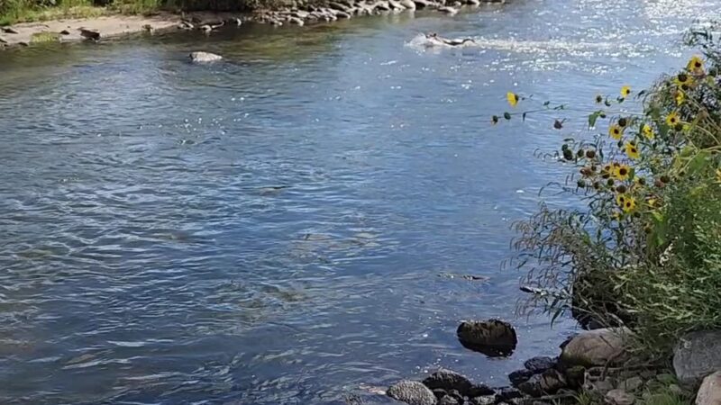 WEST FORK MOJAVE RIVER - Hesperia, CA