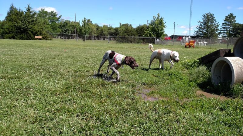 Hesston City Dog Park - Hesston, KS