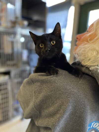 Hi-Tor Animal Care Center Inc. - ,
