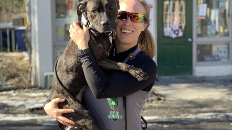 Hi-Tor Animal Care Center Inc. - ,