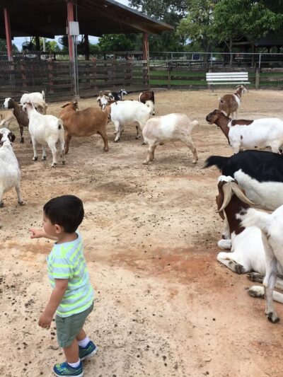 Amelia Earhart Park - Hialeah, FL
