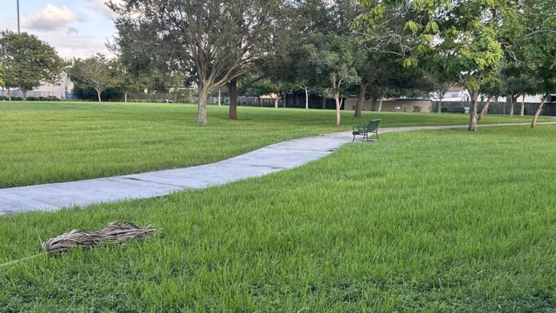 Spanish Lake Park - Hialeah, FL
