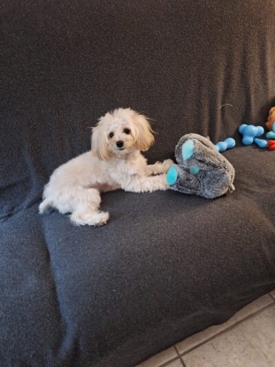 Spanish Lake Park - Hialeah, FL