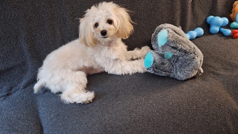 Spanish Lake Park - Hialeah, FL