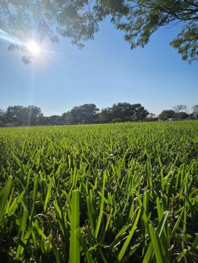 Spanish Lake Park - Hialeah, FL
