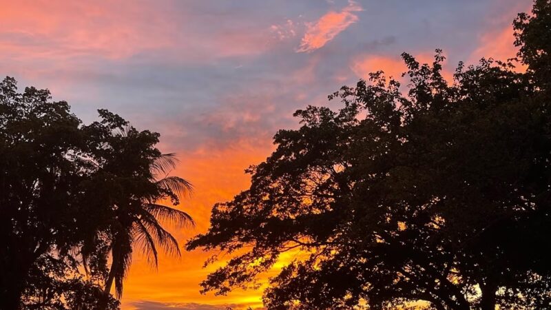 Willis D. Harding Park - Hialeah, FL