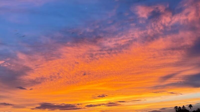 Willis D. Harding Park - Hialeah, FL