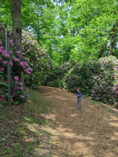 Towns County Park - Hiawassee, GA